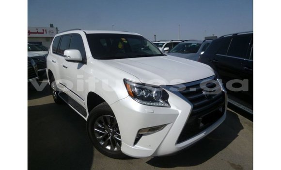 Sayi Imported Lexus GX White Mota in Import - Dubai a estuary Sayi Imported Lexus GX White Mota in Import - Dubai a estuary