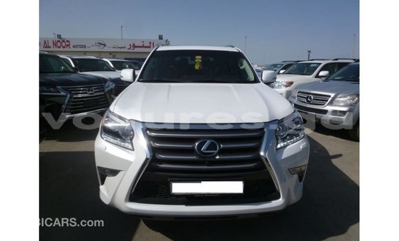 Sayi Imported Lexus GX White Mota in Import - Dubai a estuary Sayi Imported Lexus GX White Mota in Import - Dubai a estuary