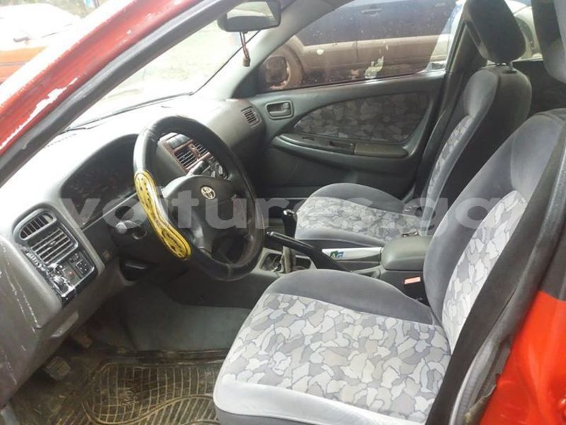 Big with watermark 43952242 157845575157962 4335428086951575552 o