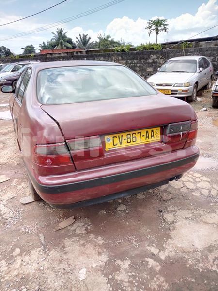 Big with watermark 43880256 157845481824638 895143421541351424 o