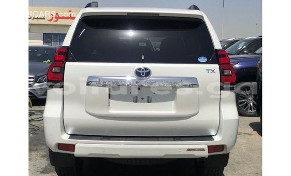 Sayi Imported Toyota Prado White Mota in Import - Dubai a estuary Sayi Imported Toyota Prado White Mota in Import - Dubai a estuary