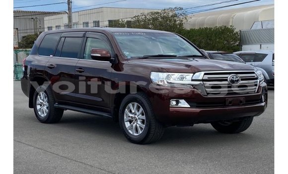 Buy Import Toyota Land Cruiser Red Car in Import - Dubai in Estuary Buy Import Toyota Land Cruiser Red Car in Import - Dubai in Estuary