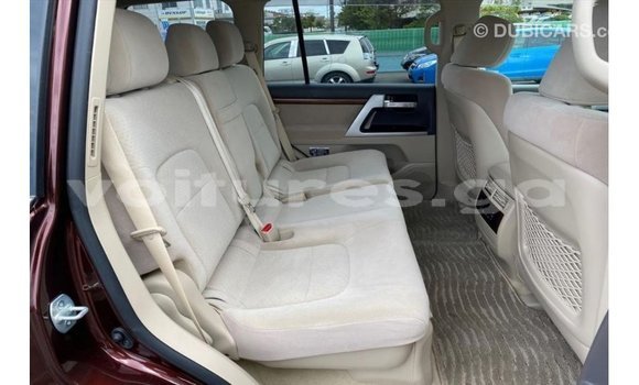 Buy Import Toyota Land Cruiser Red Car in Import - Dubai in Estuary Buy Import Toyota Land Cruiser Red Car in Import - Dubai in Estuary
