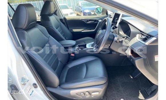 Acheter Import Utilitaire Toyota HiAce Blanc à Import - Dubai, Estuaire Acheter Import Utilitaire Toyota HiAce Blanc à Import - Dubai, Estuaire