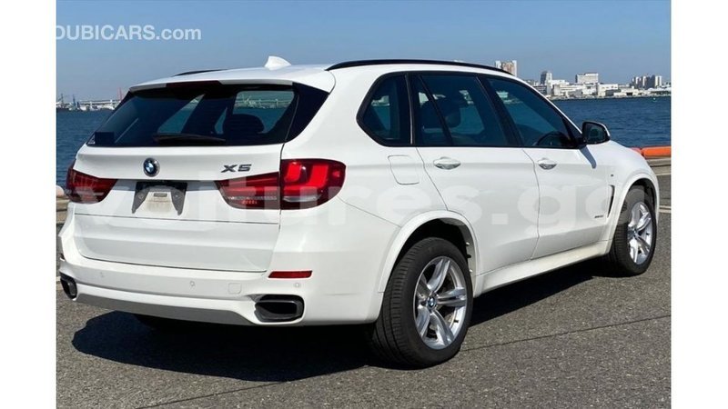 Big with watermark bmw x5 estuary import dubai 6495
