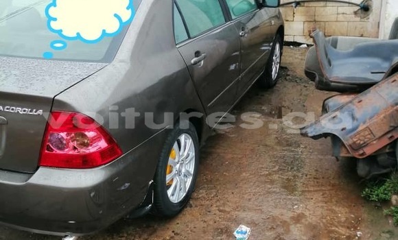 Acheter Occasion Voiture Toyota Corolla Gris à Libreville, Estuaire Acheter Occasion Voiture Toyota Corolla Gris à Libreville, Estuaire