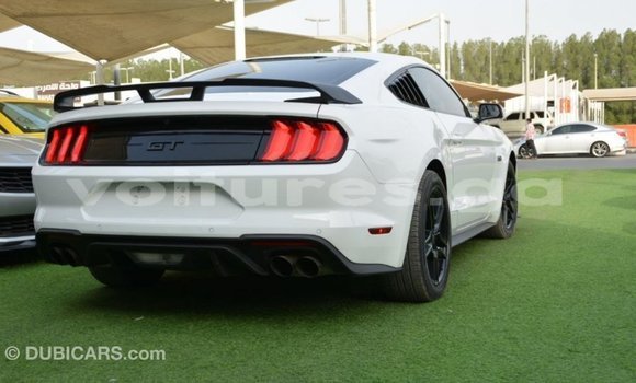 Acheter Import Voiture Ford Mustang Blanc à Import - Dubai, Estuaire Acheter Import Voiture Ford Mustang Blanc à Import - Dubai, Estuaire