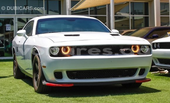 Sayi Imported Dodge Challenger White Mota in Import - Dubai a estuary Sayi Imported Dodge Challenger White Mota in Import - Dubai a estuary