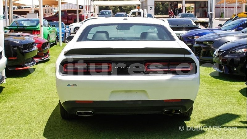 Big with watermark dodge challenger estuary import dubai 6586