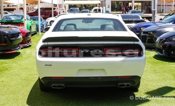 Sayi Imported Dodge Challenger White Mota in Import - Dubai a estuary Sayi Imported Dodge Challenger White Mota in Import - Dubai a estuary