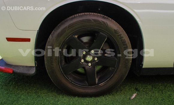 Sayi Imported Dodge Challenger White Mota in Import - Dubai a estuary Sayi Imported Dodge Challenger White Mota in Import - Dubai a estuary