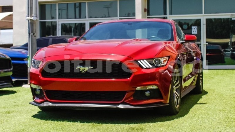 Big with watermark ford mustang estuary import dubai 6587