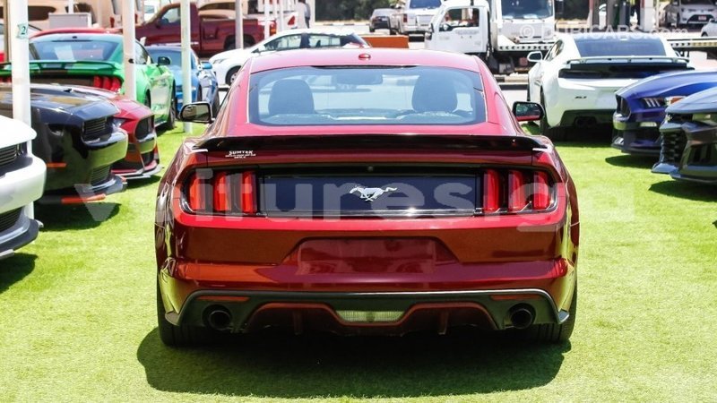 Big with watermark ford mustang estuary import dubai 6587