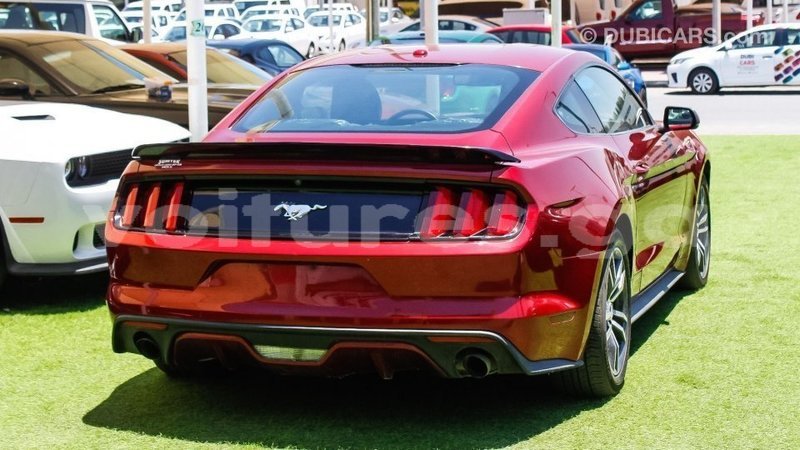 Big with watermark ford mustang estuary import dubai 6587