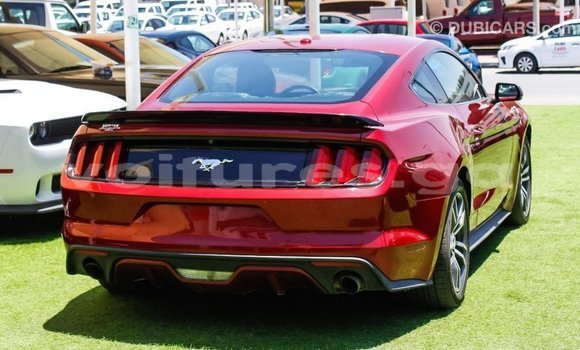 Acheter Import Voiture Ford Mustang Rouge à Import - Dubai, Estuaire Acheter Import Voiture Ford Mustang Rouge à Import - Dubai, Estuaire