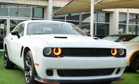 Sayi Imported Dodge Challenger White Mota in Import - Dubai a estuary Sayi Imported Dodge Challenger White Mota in Import - Dubai a estuary