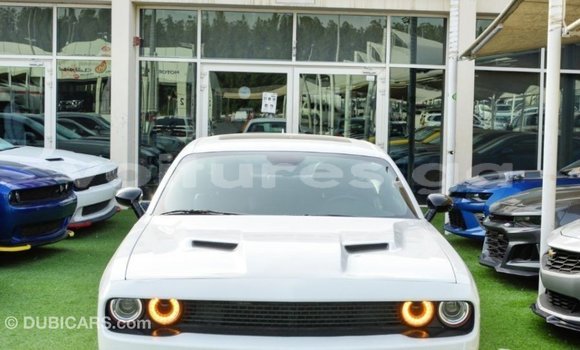 Sayi Imported Dodge Challenger White Mota in Import - Dubai a estuary Sayi Imported Dodge Challenger White Mota in Import - Dubai a estuary