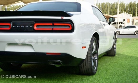 Sayi Imported Dodge Challenger White Mota in Import - Dubai a estuary Sayi Imported Dodge Challenger White Mota in Import - Dubai a estuary