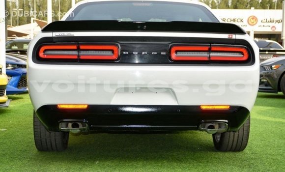 Sayi Imported Dodge Challenger White Mota in Import - Dubai a estuary Sayi Imported Dodge Challenger White Mota in Import - Dubai a estuary