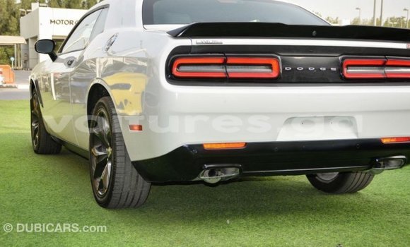 Sayi Imported Dodge Challenger White Mota in Import - Dubai a estuary Sayi Imported Dodge Challenger White Mota in Import - Dubai a estuary