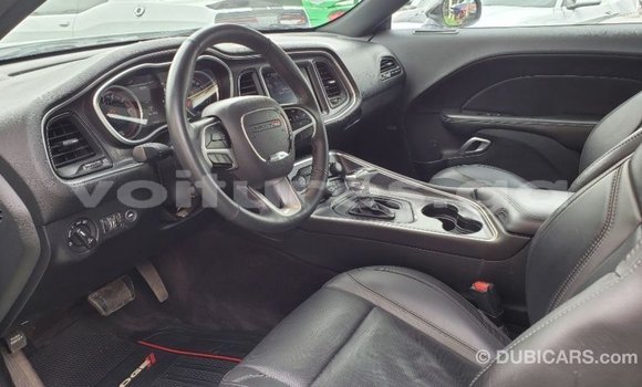 Sayi Imported Dodge Challenger White Mota in Import - Dubai a estuary Sayi Imported Dodge Challenger White Mota in Import - Dubai a estuary