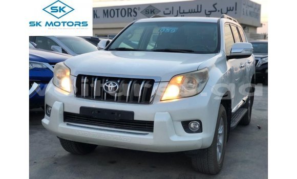 Buy Import Toyota Prado White Car in Import - Dubai in Estuary