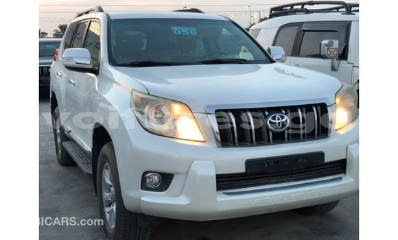 Sayi Imported Toyota Prado White Mota in Import - Dubai a estuary Sayi Imported Toyota Prado White Mota in Import - Dubai a estuary