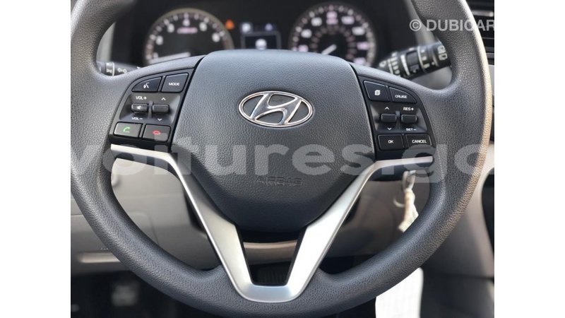 Big with watermark hyundai tucson estuary import dubai 6609