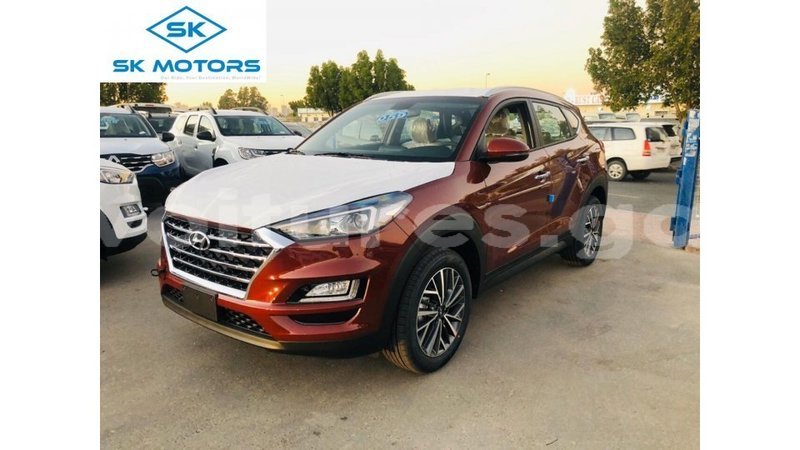 Big with watermark hyundai tucson estuary import dubai 6611