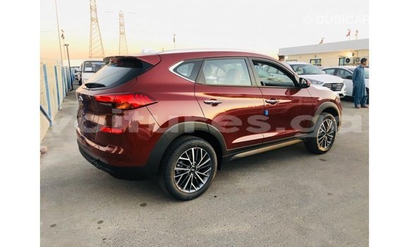 Buy Import Hyundai Tucson Other Car in Import - Dubai in Estuary Buy Import Hyundai Tucson Other Car in Import - Dubai in Estuary