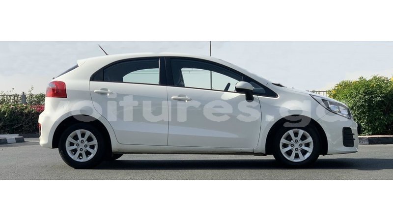 Big with watermark kia rio estuary import dubai 6641