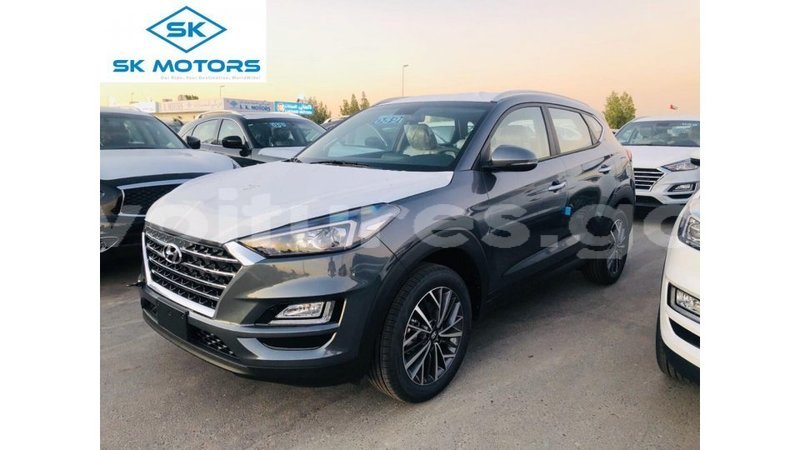 Big with watermark hyundai tucson estuary import dubai 6686