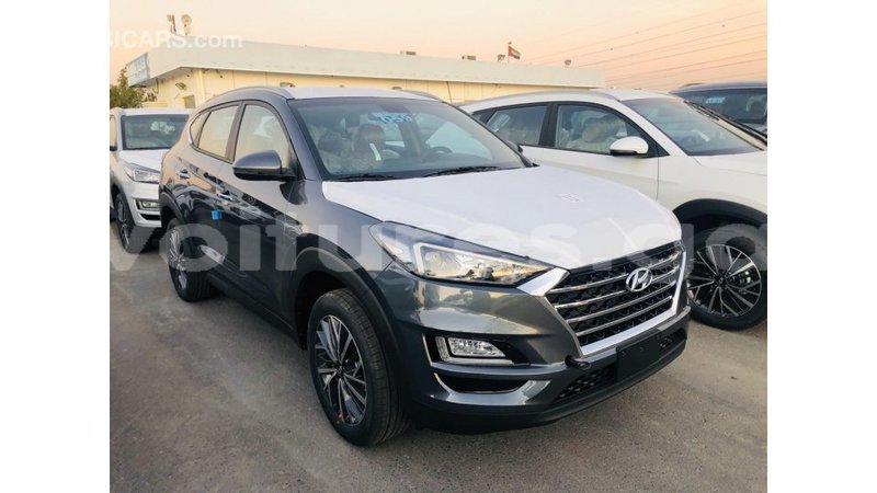 Big with watermark hyundai tucson estuary import dubai 6686