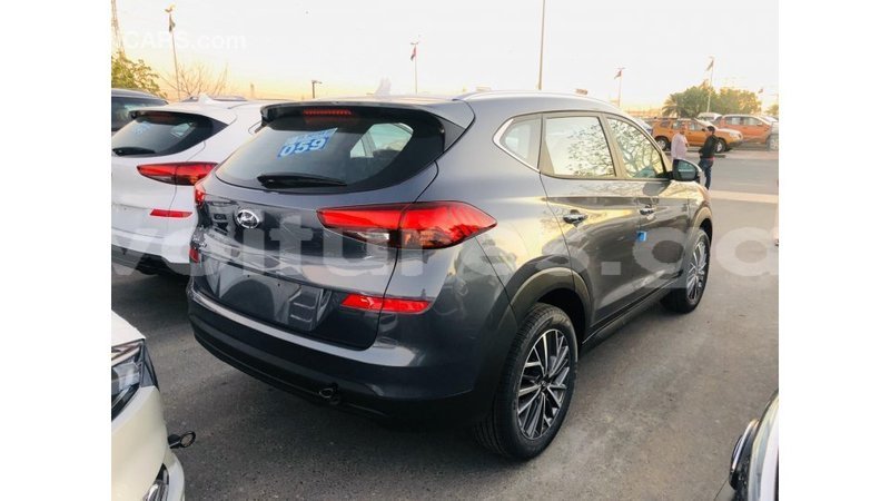 Big with watermark hyundai tucson estuary import dubai 6686