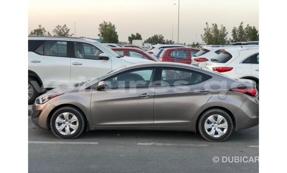 Sayi Imported Hyundai Elantra Brown Mota in Import - Dubai a estuary Sayi Imported Hyundai Elantra Brown Mota in Import - Dubai a estuary