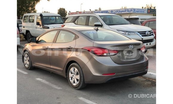 Sayi Imported Hyundai Elantra Brown Mota in Import - Dubai a estuary Sayi Imported Hyundai Elantra Brown Mota in Import - Dubai a estuary