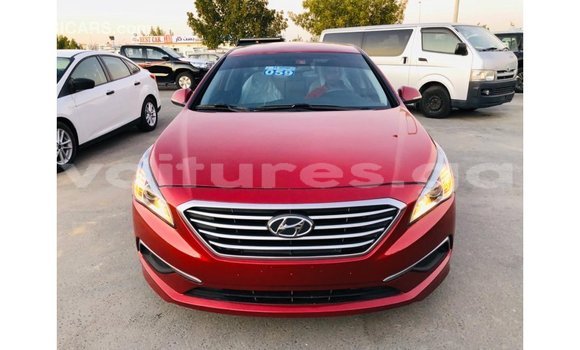 Buy Import Hyundai Sonata Red Car in Import - Dubai in Estuary Buy Import Hyundai Sonata Red Car in Import - Dubai in Estuary