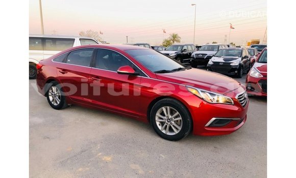 Buy Import Hyundai Sonata Red Car in Import - Dubai in Estuary Buy Import Hyundai Sonata Red Car in Import - Dubai in Estuary