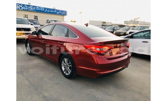 Buy Import Hyundai Sonata Red Car in Import - Dubai in Estuary Buy Import Hyundai Sonata Red Car in Import - Dubai in Estuary