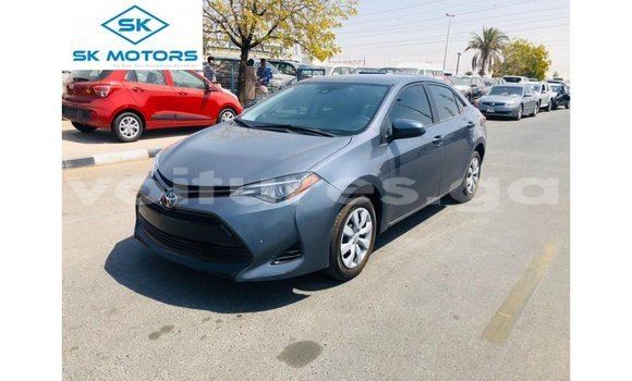 Buy Import Toyota Corolla Other Car in Import - Dubai in Estuary Buy Import Toyota Corolla Other Car in Import - Dubai in Estuary