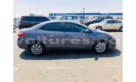 Buy Import Toyota Corolla Other Car in Import - Dubai in Estuary Buy Import Toyota Corolla Other Car in Import - Dubai in Estuary