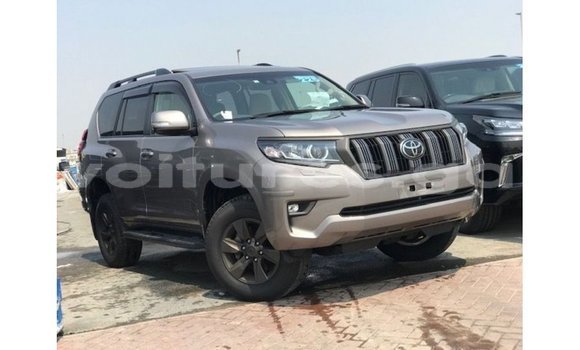 Buy Import Toyota Prado Brown Car in Import - Dubai in Estuary Buy Import Toyota Prado Brown Car in Import - Dubai in Estuary