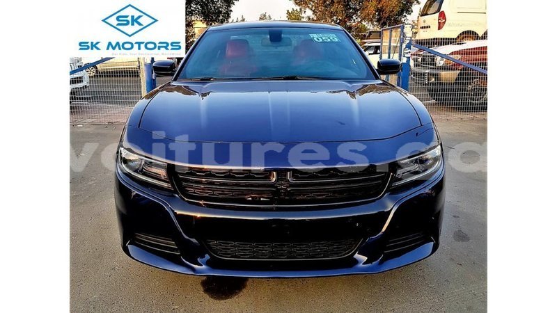 Big with watermark dodge charger estuaire import dubai 6751