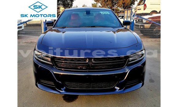 Acheter Import Voiture Dodge Charger Bleu à Import - Dubai, Estuaire