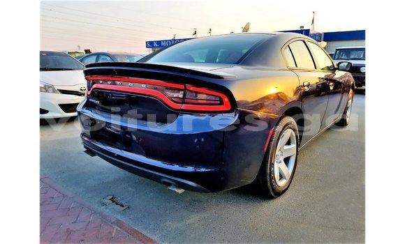 Buy Import Dodge Charger Blue Car in Import - Dubai in Estuary Buy Import Dodge Charger Blue Car in Import - Dubai in Estuary