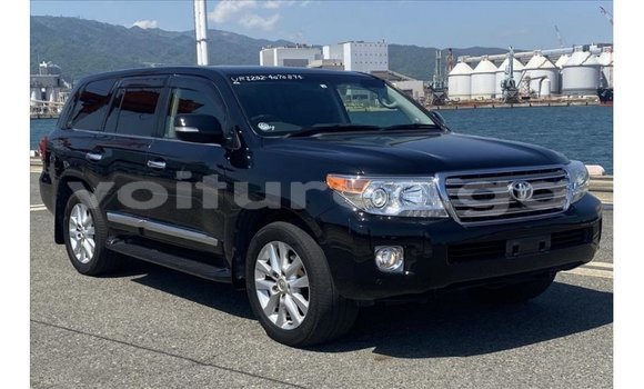 Buy Import Toyota Land Cruiser Black Car in Import - Dubai in Estuary