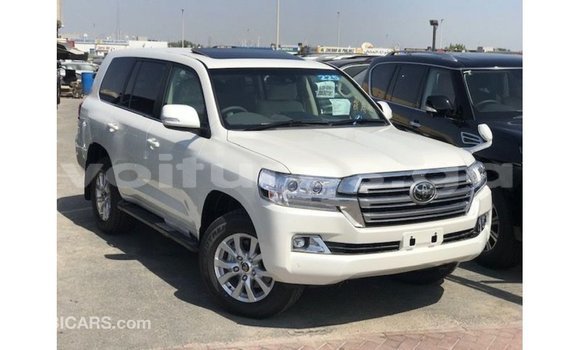 Sayi Imported Toyota Land Cruiser White Mota in Import - Dubai a estuary Sayi Imported Toyota Land Cruiser White Mota in Import - Dubai a estuary