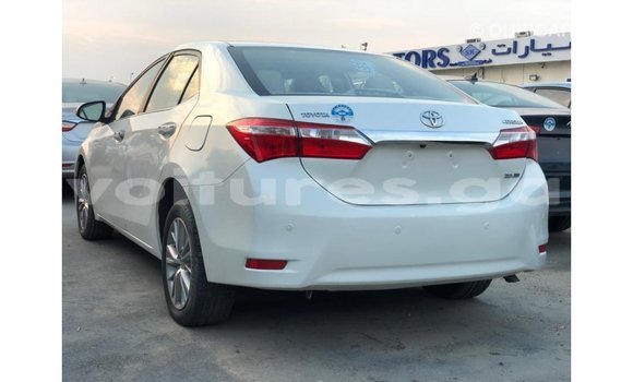 Sayi Imported Toyota Corolla White Mota in Import - Dubai a estuary Sayi Imported Toyota Corolla White Mota in Import - Dubai a estuary