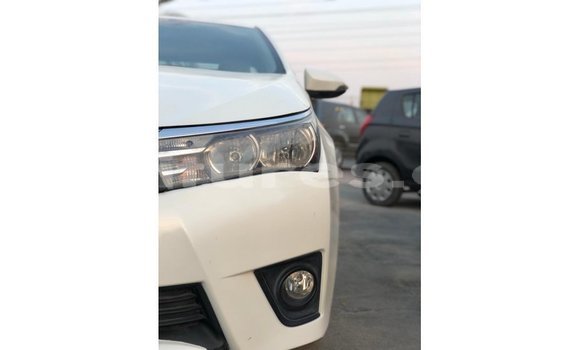 Sayi Imported Toyota Corolla White Mota in Import - Dubai a estuary Sayi Imported Toyota Corolla White Mota in Import - Dubai a estuary
