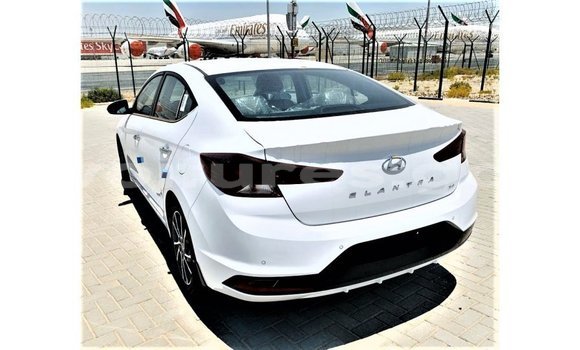 Buy Import Hyundai Elantra White Car in Import - Dubai in Estuary Buy Import Hyundai Elantra White Car in Import - Dubai in Estuary